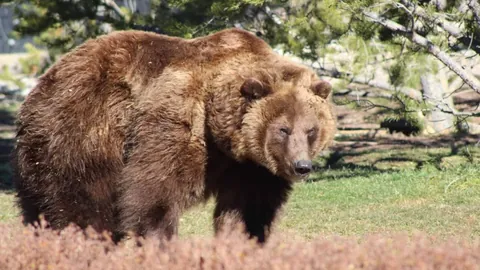 港足外围赛朝鲜退赛，赛程变动！